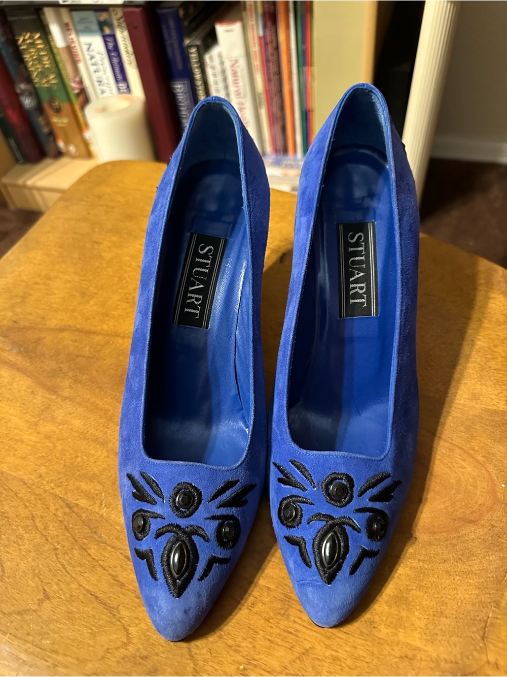 Stuart Weitzman Cobalt Blue Suede Pointed-Toe Pumps with Black Embroidery